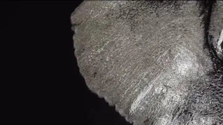 Lifelike Horse Art Wall Glass Paintings Inlaid Ultra Clear Low Iron Glass (MR